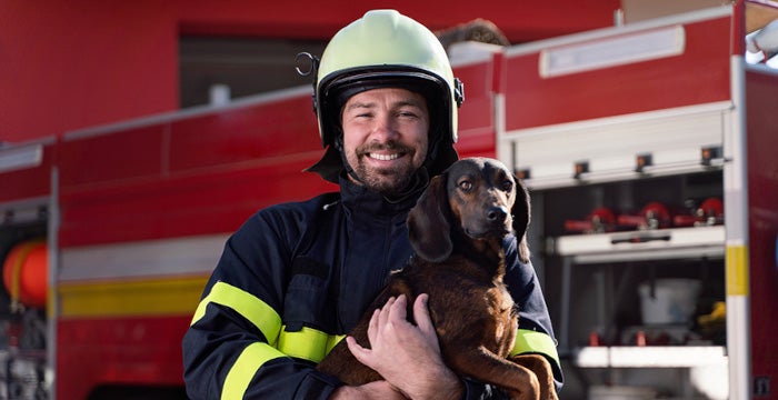 Firefighter holding a dog